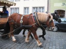 女２１歳。野望があります。