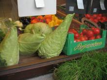 女２１歳。野望があります。