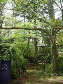 女２１歳。野望があります。