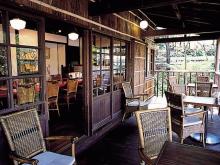 女２１歳。野望があります。