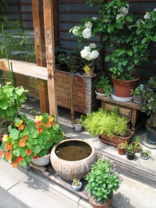 女２２歳。野望があります。