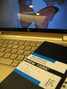 女２２歳。野望があります。