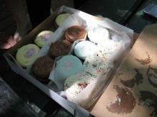 女２２歳。野望があります。