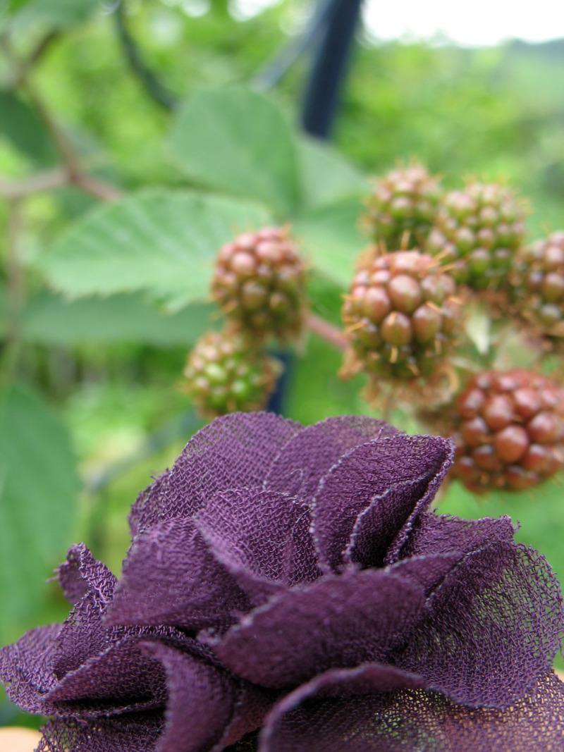 村上萌 -野望あります-