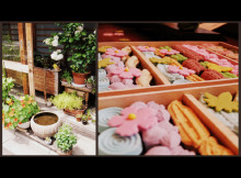 $村上萌 －野望あります－