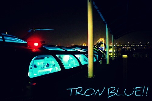 村上萌 －野望あります－